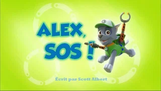 Image de Alex, SOS !
