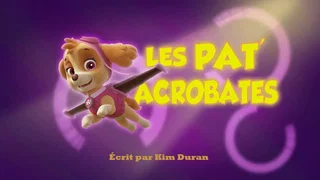 Image de Les Pat' Acrobates