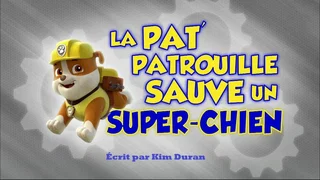 Image de La Pat’ Patrouille sauve un super-chien