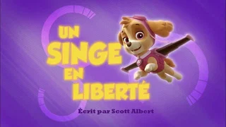 Image de Un Singe en liberté