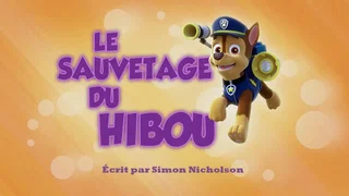 Image de Le Sauvetage du hibou