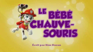 Image de Le Bébé chauve-souris