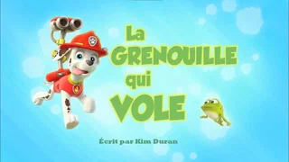 Image de La Grenouille qui vole