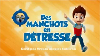 Image de Des Manchots en détresse