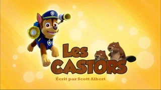 Image de Les Castors