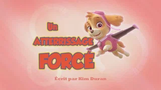 Image de Un Atterrissage forcé
