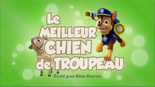 Image de Le Meilleur Chien de troupeau