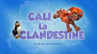 Image de Cali, la clandestine