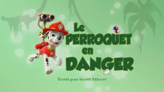 Image de Le Perroquet en danger
