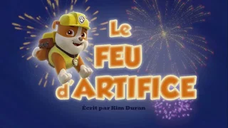 Image de Le Feu d'artifice