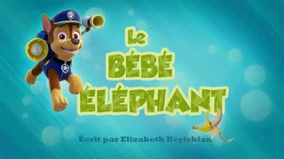 Image de Le Bébé Éléphant