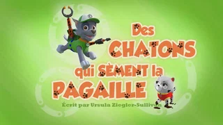 Image de Des Chatons qui sèment la pagaille