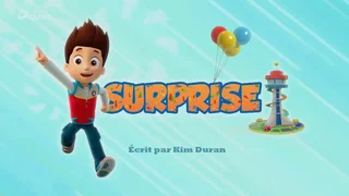 Image de Surprise