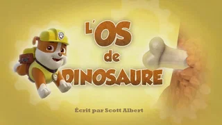Image de L'Os de dinosaure