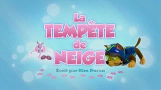 Image de La Tempête de neige