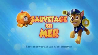 Image de Sauvetage en mer