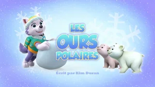 Image de Les Ours polaires