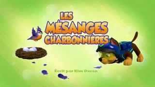 Image de Les Mésanges charbonnières