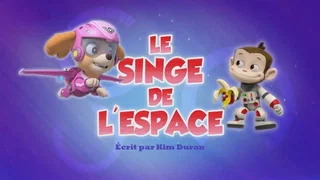 Image de Le Singe de l'espace