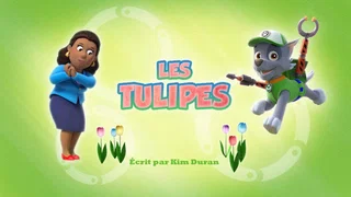 Image de Les Tulipes