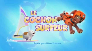 Image de Le Cochon surfeur