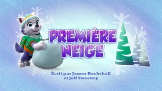 Image de Première neige