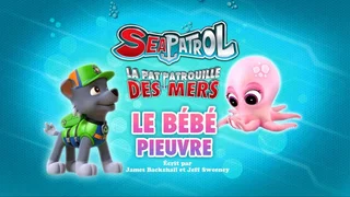 Image de La Pat'Patrouille des mers : Le Bébé pieuvre