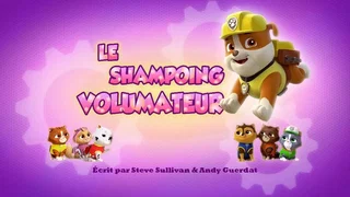 Image de Le Shampoing volumateur