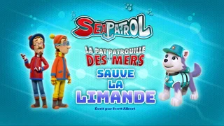 Image de La Pat' Patrouille des mers sauve la limande