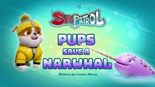 Image de La Pat' Patrouille des mers sauve un narval