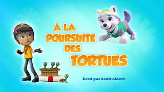 Image de À la poursuite des tortues