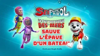 Image de La Pat' Patrouille des mers sauve l'épave d'un bateau