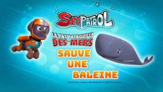 Image de La Pat' Patrouille des mers sauve une baleine