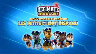 Image de Sauvetage extrême : Les Petits Chats du Roi ont disparu