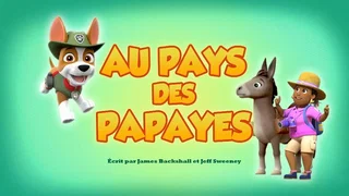 Image de Au Pays des papayes