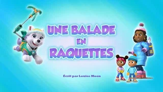 Image de Une Balade en raquettes