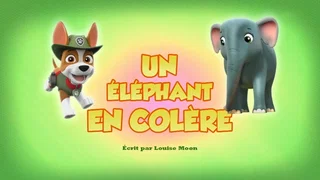 Image de Un Éléphant en colère