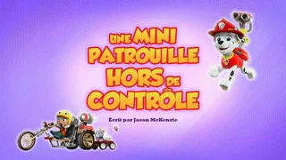 Image de Une Mini Patrouille hors de contrôle