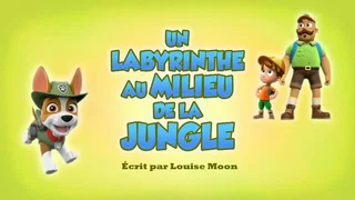 Image de Un Labyrinthe au milieu de la jungle