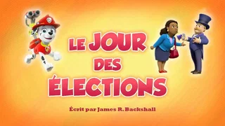 Image de Le Jour des élections