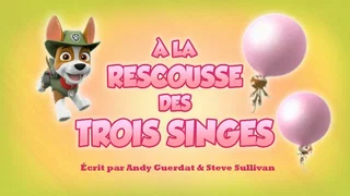 Image de À la rescousse des trois singes
