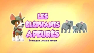 Image de Les Éléphants apeurés