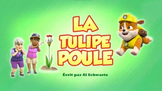 Image de La Tulipe poule