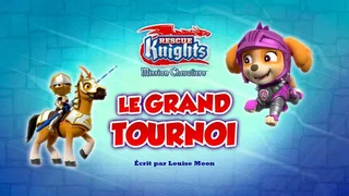 Image de Mission Chevaliers : Le Grand Tournoi
