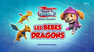 Image de Mission Chevaliers : Les Bébés dragons