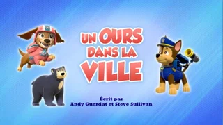 Image de Un ours dans la ville
