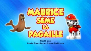 Image de Maurice sème la pagaille