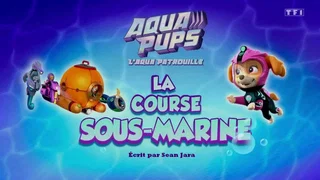 Image de L'Aqua Patrouille : La course sous-marine
