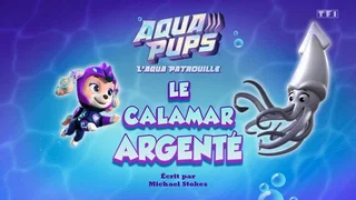 Image de L'Aqua Patrouilee : Le calemar argenté
