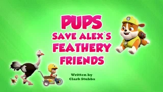 Image de Alex et les autruches